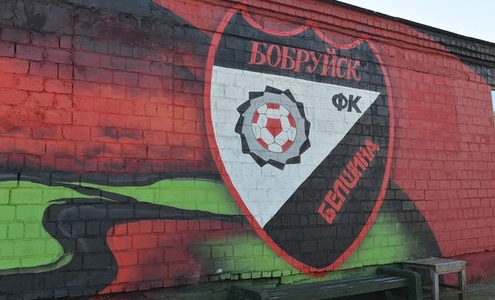 ФК Белшина. Фото Виктор Шейкин/KomKur.by