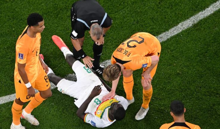 Сенегал - Нидерланды