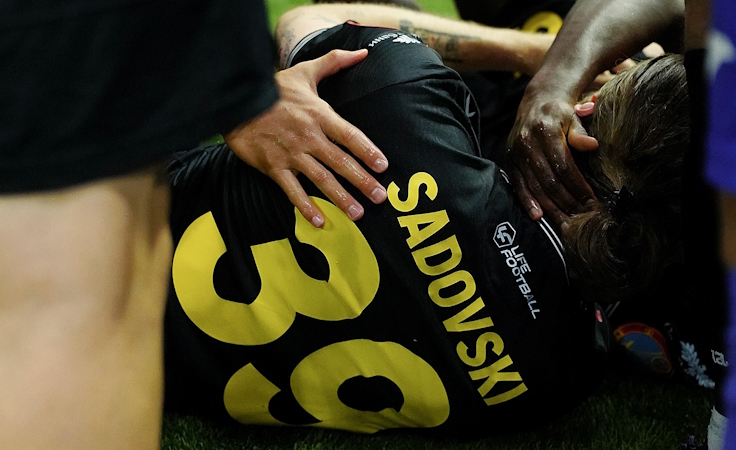 Всеволод Садовский