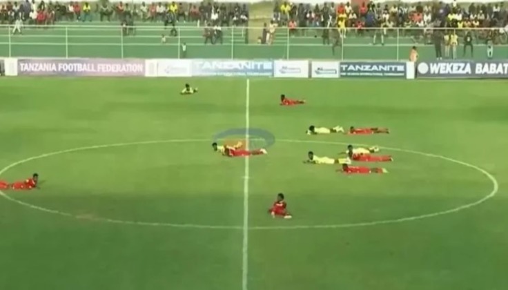 В Танзании прервали матч из-за роя пчел