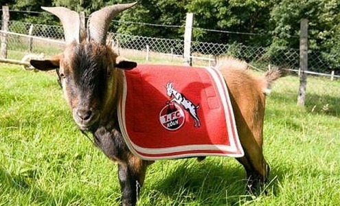 Забытые знамениты. "Кёльн"