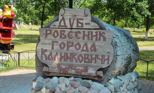 Калинковичи. Граундхоппинг. Дуб