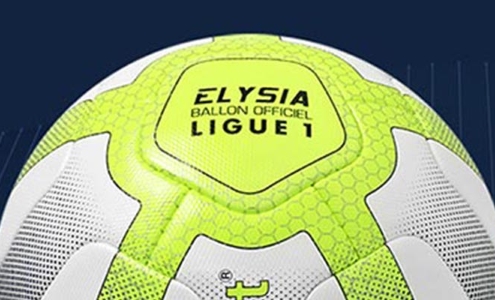 Чемпионат Франции 2017/18